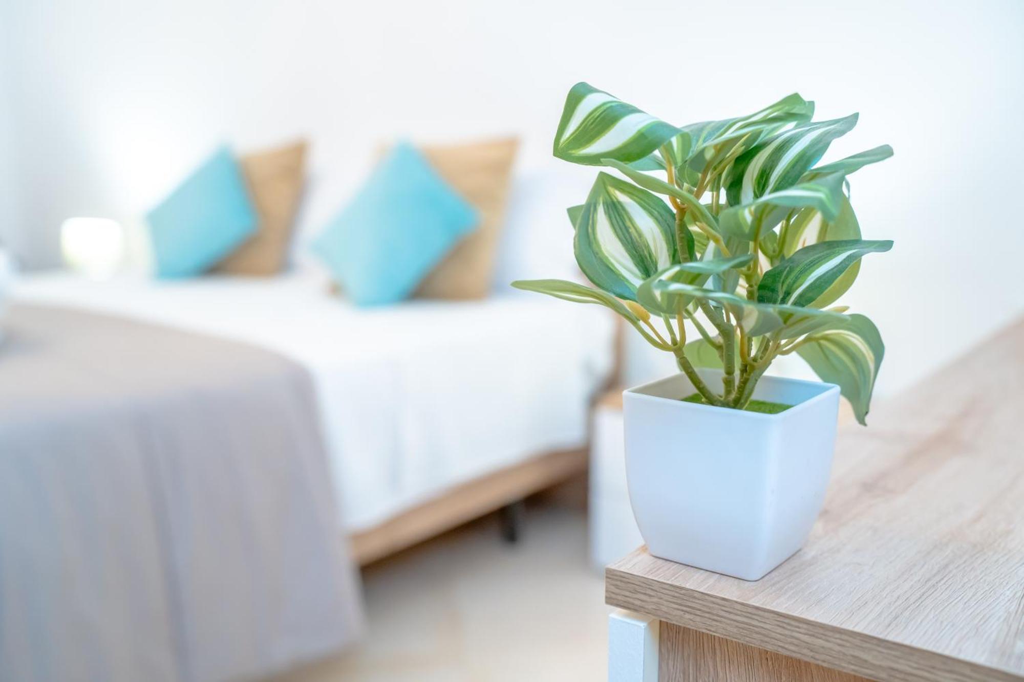 Dimora Dante 310 Apartment Bari Bagian luar foto